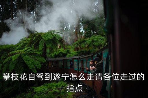西昌繞城中標 成都市宏圖路橋，攀枝花自駕到遂寧怎么走請各位走過的 指點