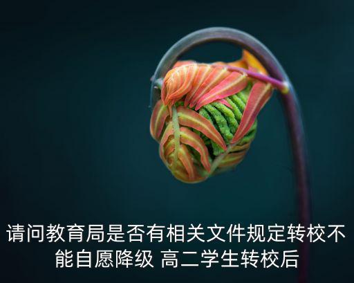 請問教育局是否有相關(guān)文件規(guī)定轉(zhuǎn)校不能自愿降級 高二學(xué)生轉(zhuǎn)校后