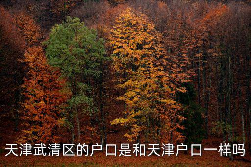 天津武清區的戶口是和天津戶口一樣嗎