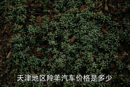 天津地區(qū)羚羊汽車價格是多少