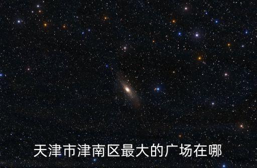 天津市津南區最大的廣場在哪