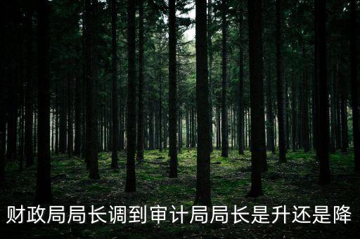 財政局局長調到審計局局長是升還是降