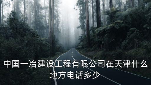 天津市東麗區建筑安裝工程公司，中國一冶建設工程有限公司在天津什么地方電話多少