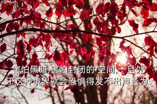 害怕黑暗,害怕封閉的 空間,一旦處于這種境界就會恐懼得發(fā)不出聲音為...