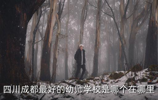 四川成都最好的幼師學(xué)校是哪個(gè)在哪里