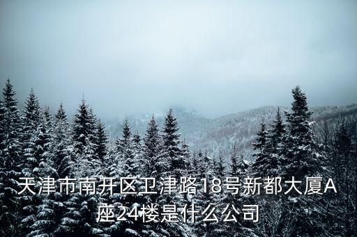天津市南開區衛津路18號新都大廈A座24樓是什么公司