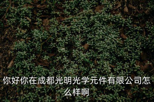 你好你在成都光明光學元件有限公司怎么樣啊