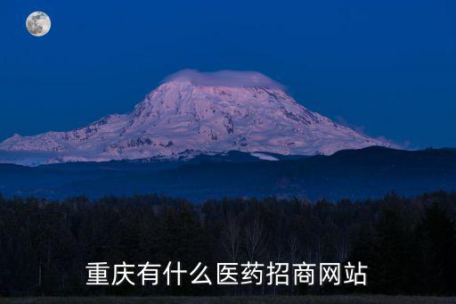 重慶市招醫藥代表，重慶有什么醫藥招商網站