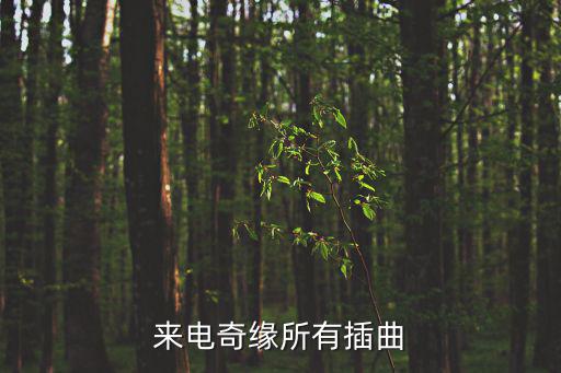 來電奇緣所有插曲
