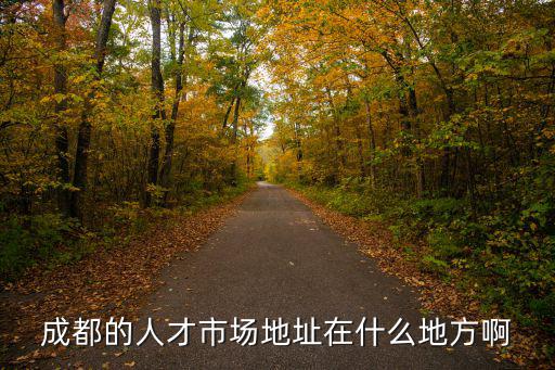 成都的人才市場地址在什么地方啊