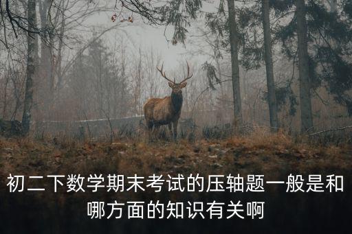 初二下數學期末考試的壓軸題一般是和哪方面的知識有關啊