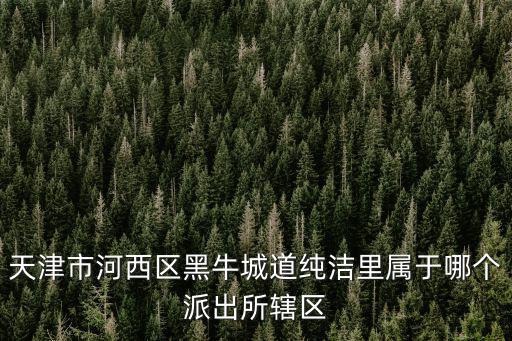 天津市河西區黑牛城道純潔里屬于哪個派出所轄區