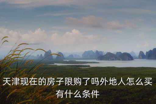 天津現在的房子限購了嗎外地人怎么買有什么條件