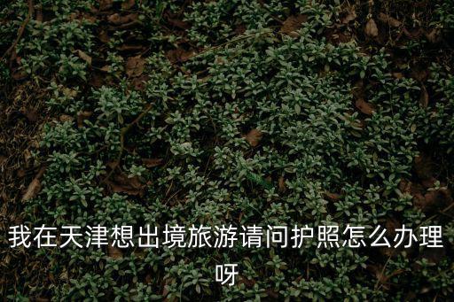 天津市護照預約，請問天津在哪里辦護照