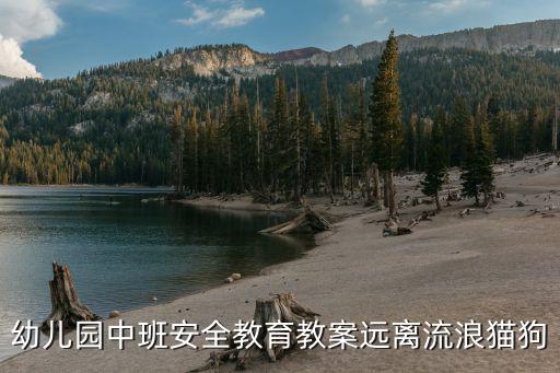 幼兒園中班安全教育教案遠(yuǎn)離流浪貓狗