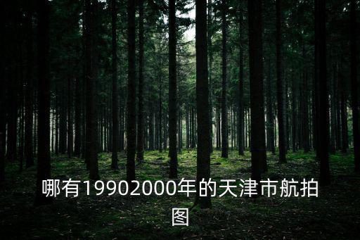 哪有19902000年的天津市航拍圖