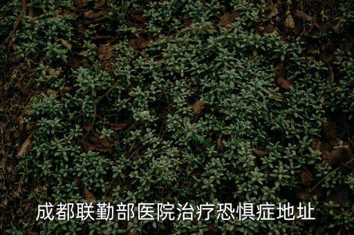 成都聯(lián)勤部醫(yī)院治療恐懼癥地址