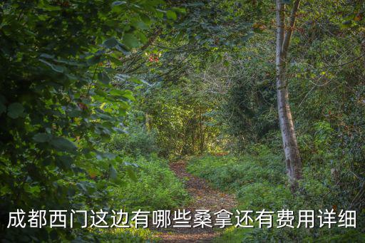 成都西門這邊有哪些桑拿還有費用詳細