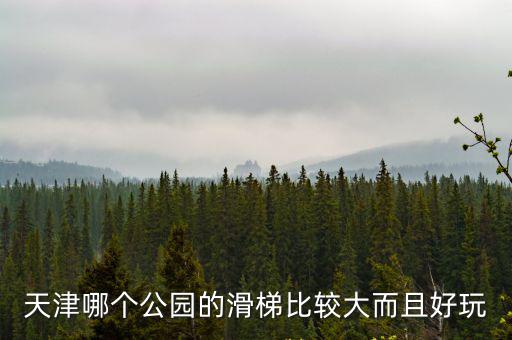 天津市大滑梯，天津市哪有滑梯