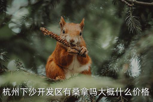 杭州下沙開發區有桑拿嗎大概什么價格