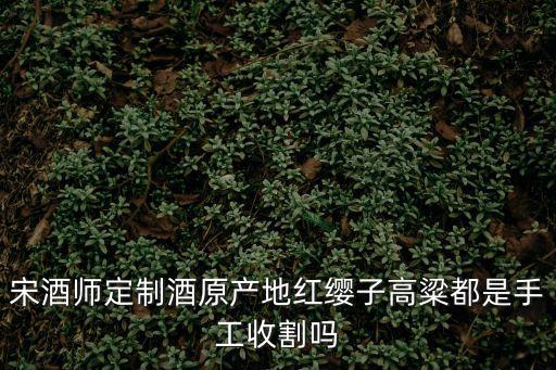 宋酒師定制酒原產地紅纓子高粱都是手工收割嗎