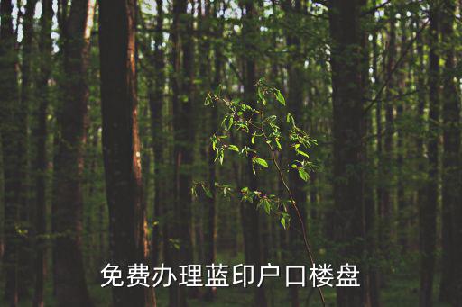 免費(fèi)辦理藍(lán)印戶(hù)口樓盤(pán)