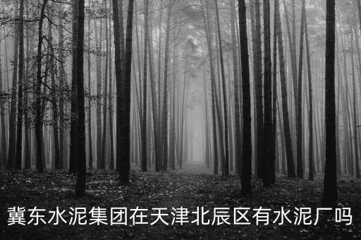 天津市北辰冀東水泥廠，冀東水泥廠