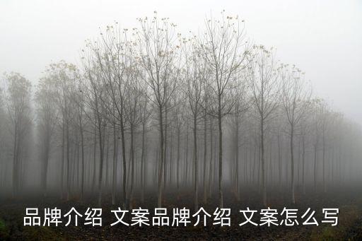 品牌介紹 文案品牌介紹 文案怎么寫