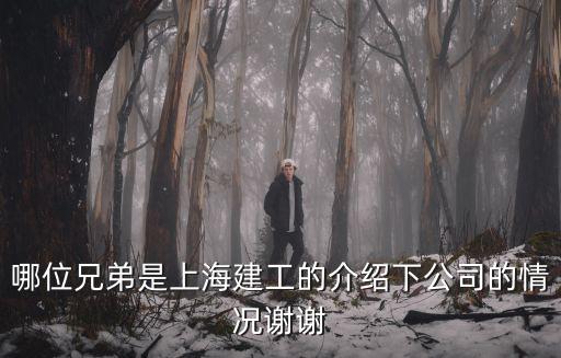 哪位兄弟是上海建工的介紹下公司的情況謝謝