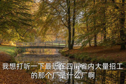 我想打聽一下最近在四川省內大量招工的那個廠是什么廠啊