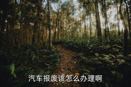 汽車報廢該怎么辦理啊
