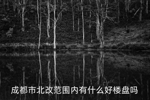 成都市百悅國際社區樓盤，成都有沒有網站 介紹新出的樓盤的