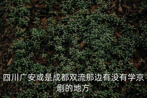 四川廣安或是成都雙流那邊有沒有學京劇的地方