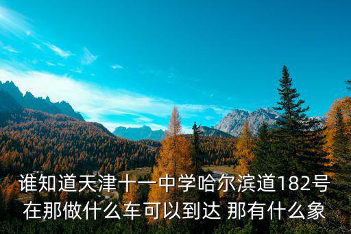 誰知道天津十一中學哈爾濱道182號在那做什么車可以到達 那有什么象