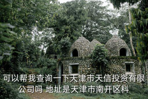 可以幫我查詢一下天津市天信投資有限公司嗎 地址是天津市南開區(qū)科
