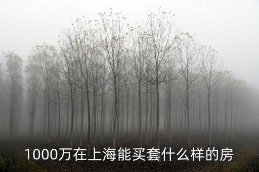 上海3000萬能買什么房，上海市哪些房子是值得購買的呢有沒有人去房博士網看過呢