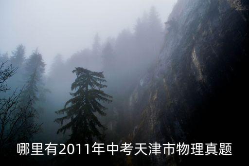 哪里有2011年中考天津市物理真題