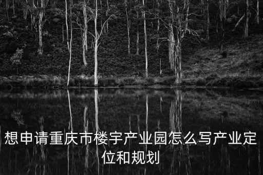 想申請重慶市樓宇產業園怎么寫產業定位和規劃
