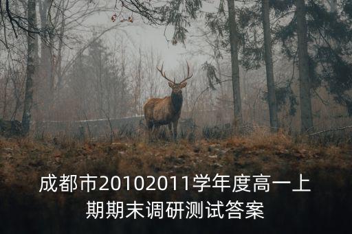 成都市20102011學年度高一上期期末調研測試答案