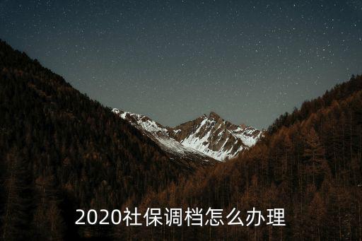 2020社保調(diào)檔怎么辦理