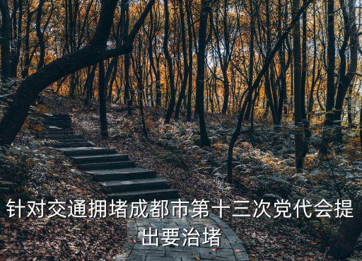 針對交通擁堵成都市第十三次黨代會提出要治堵