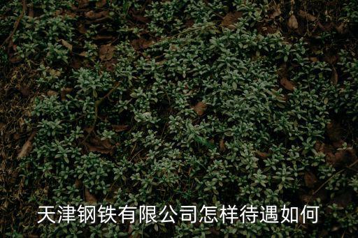 天津鋼鐵有限公司怎樣待遇如何