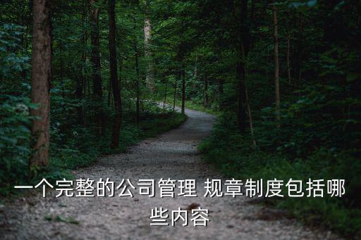 一個完整的公司管理 規章制度包括哪些內容