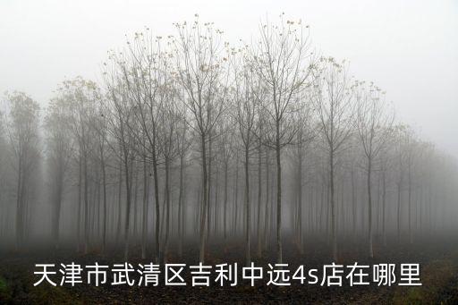 天津市武清區(qū)吉利中遠(yuǎn)4s店在哪里