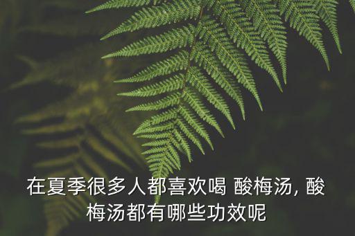 酸梅湯的功效,炎熱夏日喝酸梅湯有什么好處?