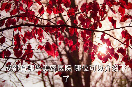 成都有哪些美容醫院 哪位可以介紹下了