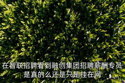 在智聯招聘看到融創集團招聘薪酬專員是真的么還是只是掛在網