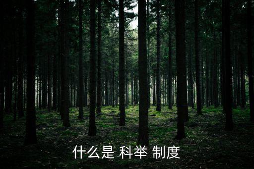科舉制度簡介,明朝以后科舉逐漸走向反面最終被歷史選擇