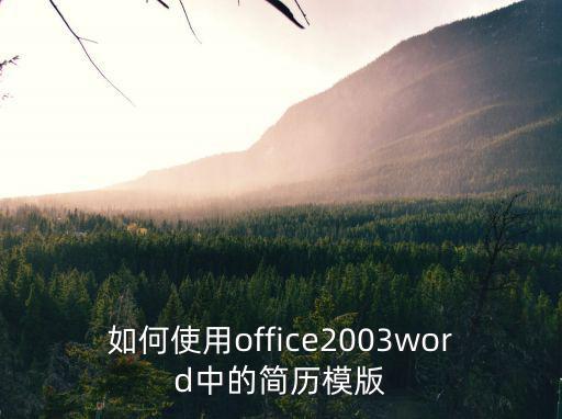 如何使用office2003word中的簡歷模版