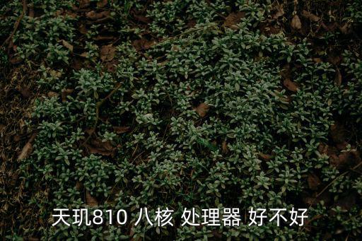 八核處理器好不好